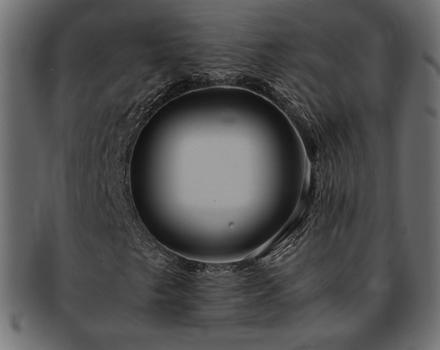 X0000093241249200710031555