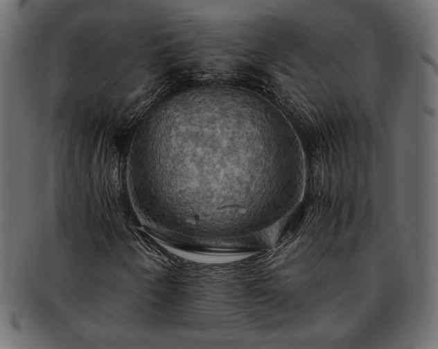 X0000093241250200710031555