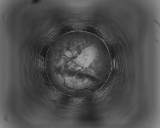 X0000093241251200710031555