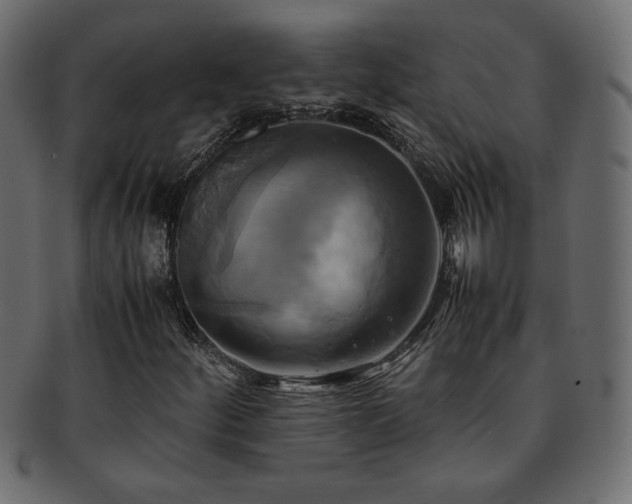 X0000093241252200710031555