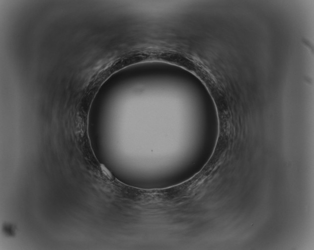 X0000093241253200710031555