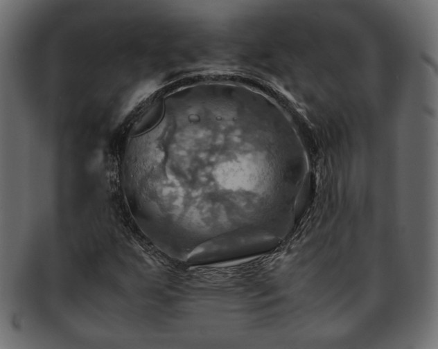 X0000093241255200710031555