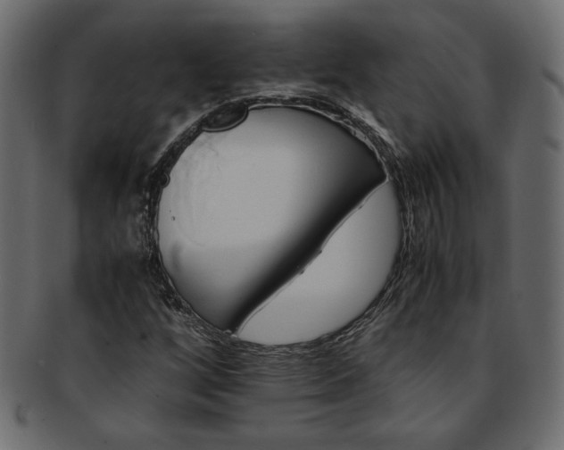 X0000093241256200710031555