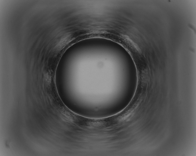 X0000093241257200710031555