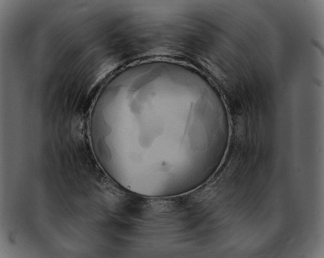 X0000093241258200710031555