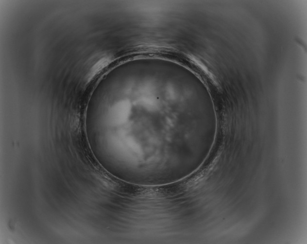 X0000093241259200710031555