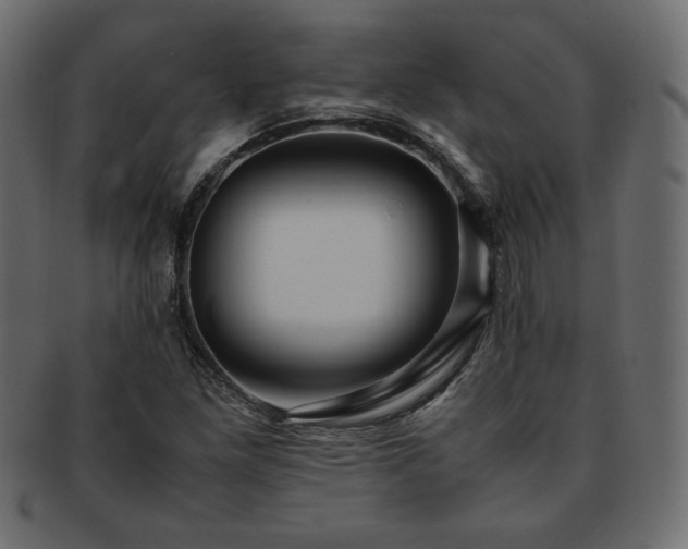 X0000093241261200710031555