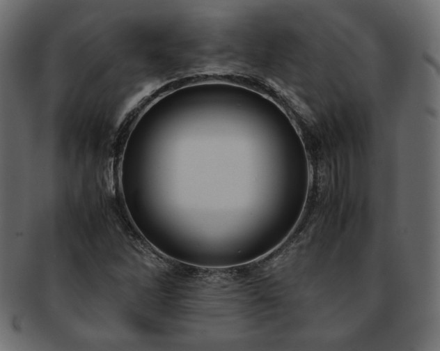 X0000093241262200710031555
