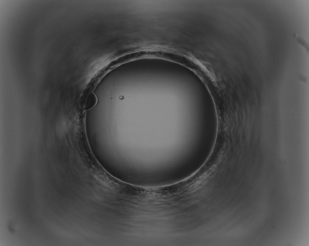 X0000093241263200710031555