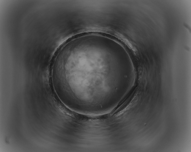 X0000093241264200710031555
