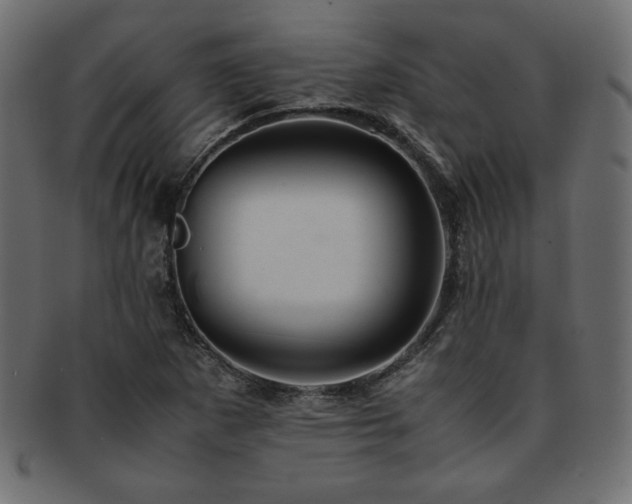X0000093241265200710031555