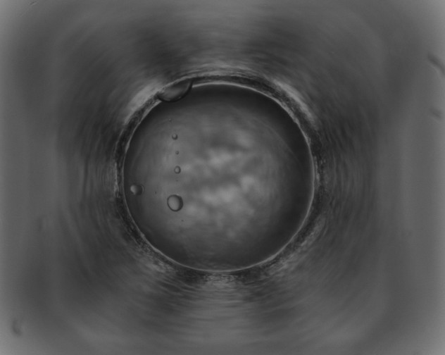 X0000093241267200710031555