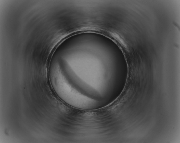 X0000093241268200710031555