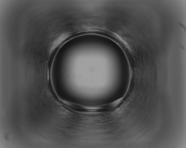 X0000093241269200710031555