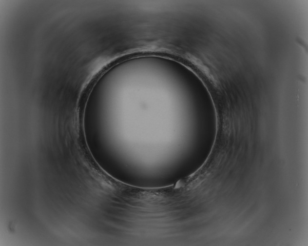 X0000093241270200710031555