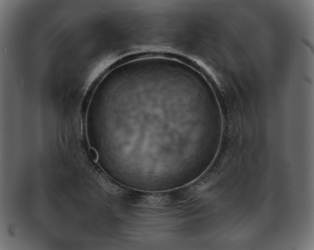 X0000093241271200710031555