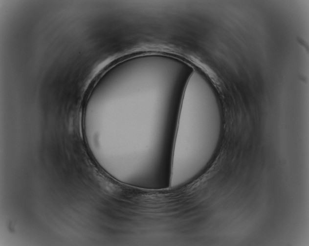 X0000093241272200710031555