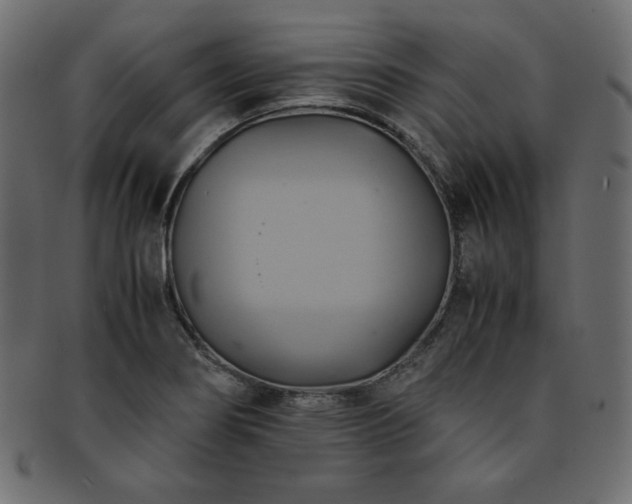X0000093241274200710031555