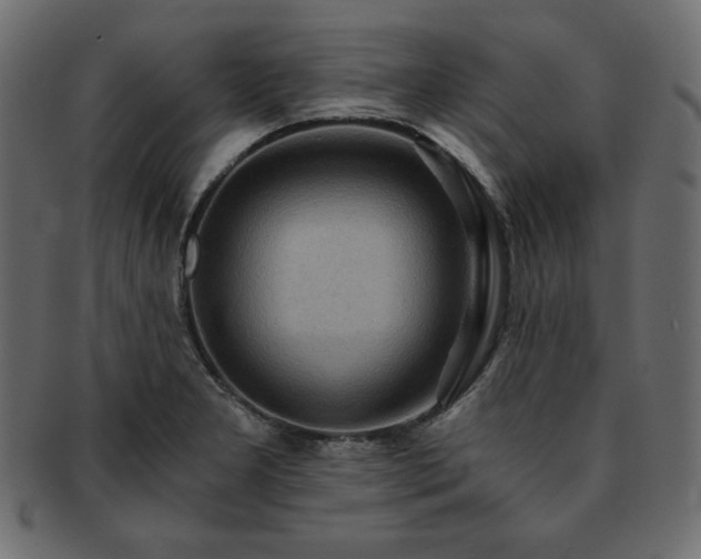 X0000093241277200710031555