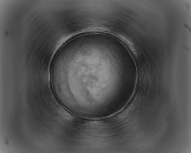 X0000093241280200710031554