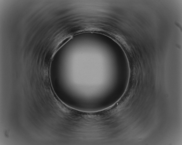X0000093241281200710031554