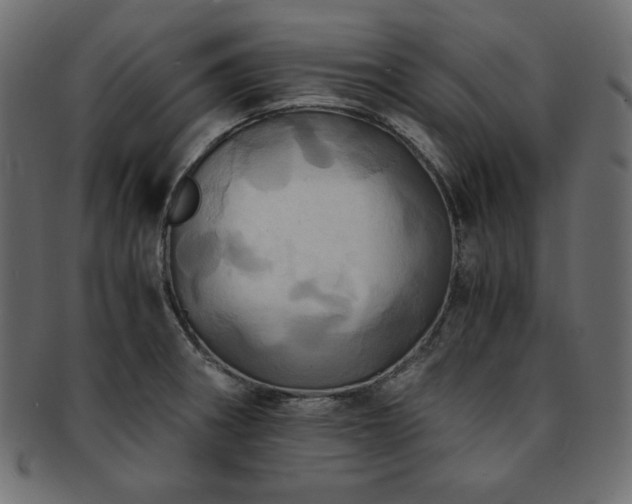 X0000093241282200710031554