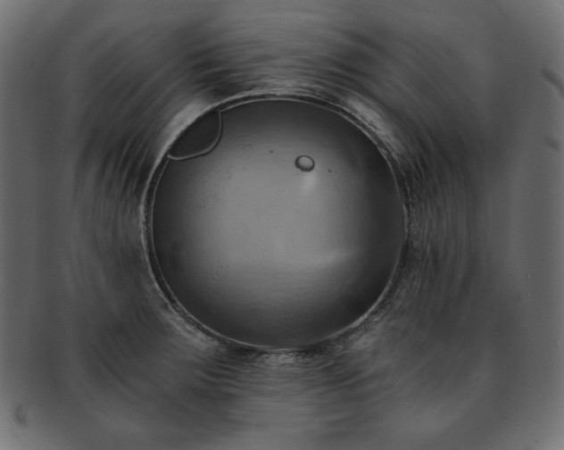 X0000093241283200710031554
