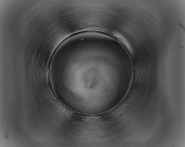 X0000093241284200710031554