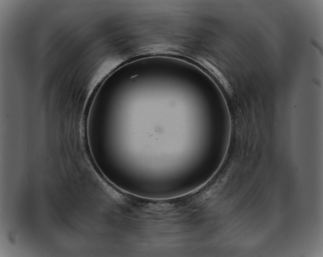 X0000093241285200710031554
