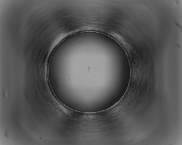 X0000093241286200710031554