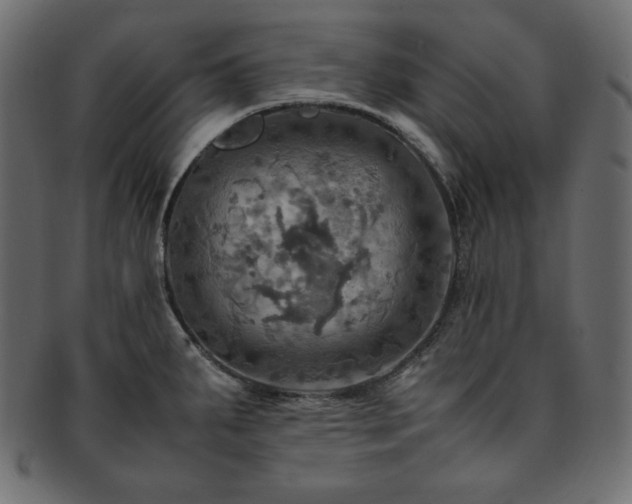 X0000093241287200710031554