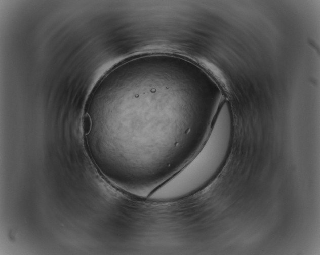 X0000093241288200710031554