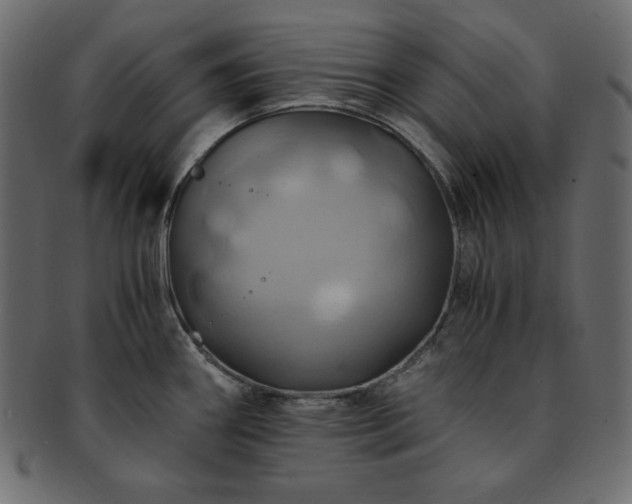 X0000093241290200710031554