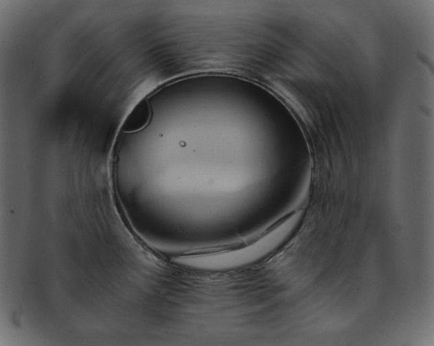 X0000093241291200710031554
