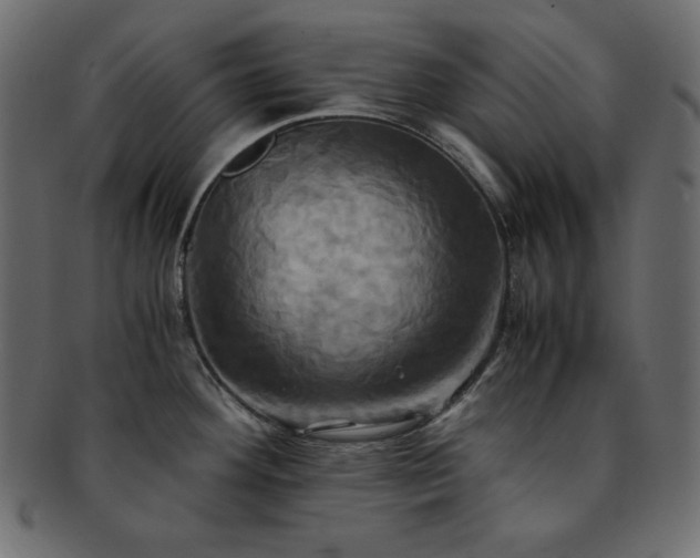 X0000093241292200710031554