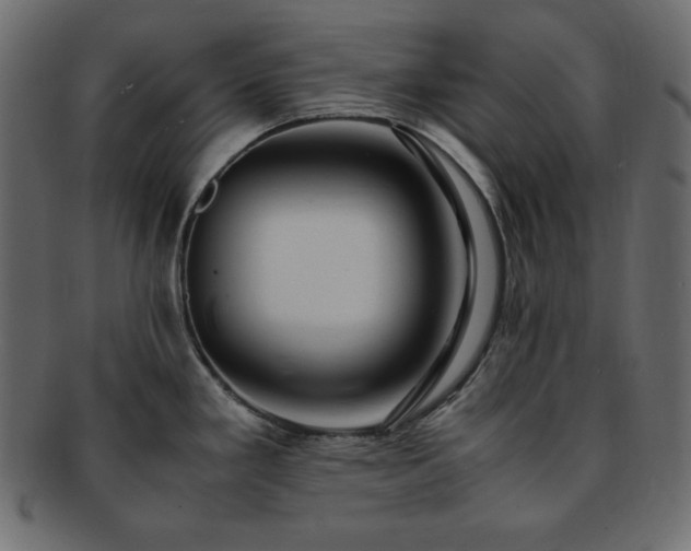X0000093241293200710031554