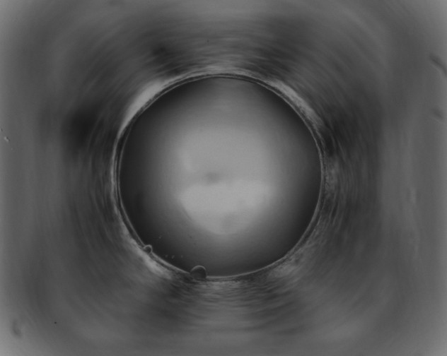 X0000093241294200710031554