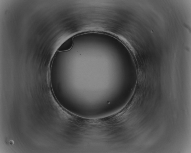 X0000093241295200710031554