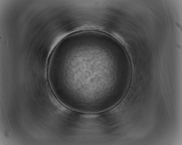 X0000093241296200710031554