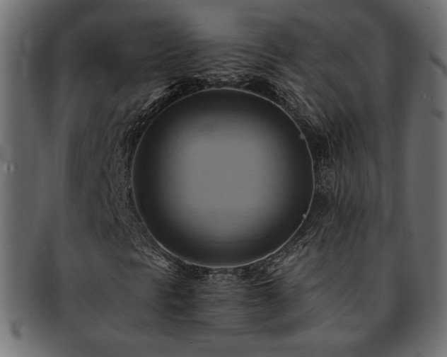 X0000093241297200710031554