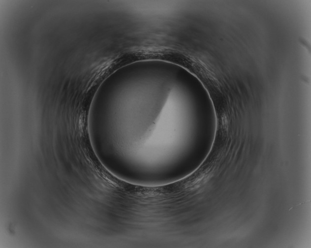 X0000093241300200710031554