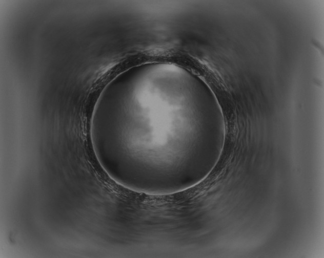 X0000093241301200710031554