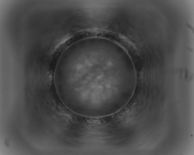 X0000093241302200710031554