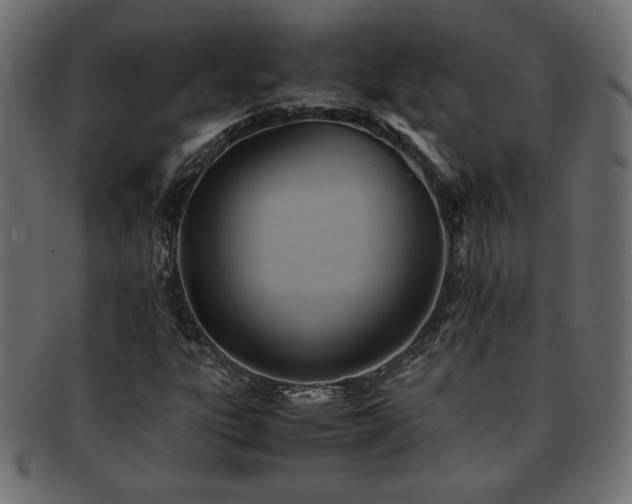 X0000093241303200710031554