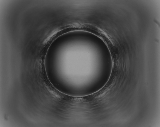 X0000093241304200710031554
