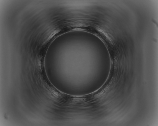 X0000093241305200710031554