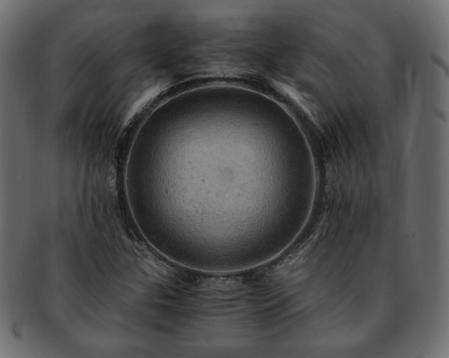 X0000093241307200710031554