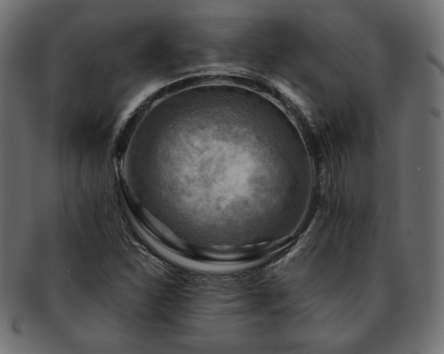 X0000093241310200710031554