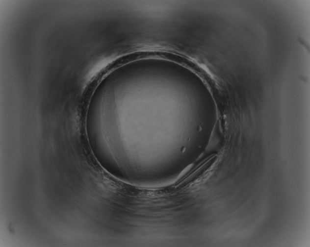 X0000093241311200710031554