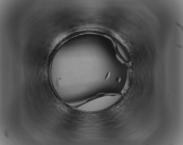 X0000093241312200710031554